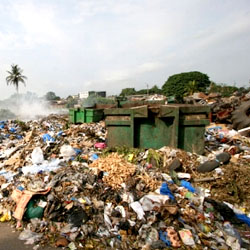 Algérie, les enfants de la décharge, le gagne-pain quotidien des miséreux