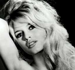 BRIGITTE BARDOT N'EST PAS RACISTE !