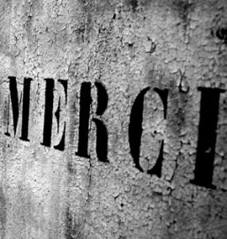 Record d'audience à la journée battu pour Lemague.net !!