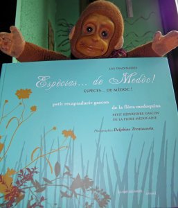 Les sens en éveil avec le « Petit répertoire gascon de la flore médocaine » 