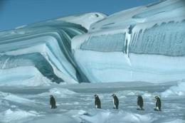 Emilie Simon mène la danse des Empereurs