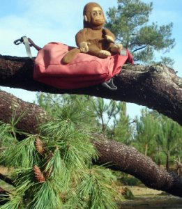 La tempête, je me la pète !