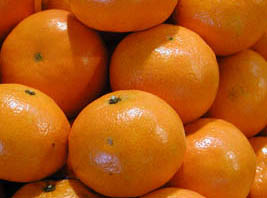 « Petit Ben et les mandarines ».