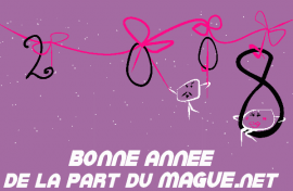 325 000 visiteurs uniques en un mois sur LE MAGUE !!