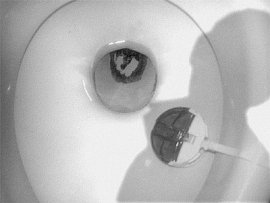 Vignale a besoin de votre OMBRE !!