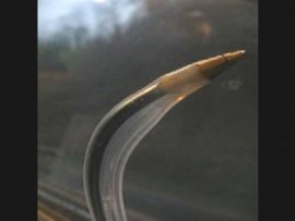 Court métrage inédit de Vignale : mémoire courbe