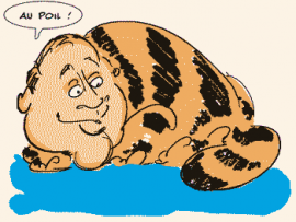 Sébastien Cauet : Gros chat sympathique ou sac à puces répugnant ?