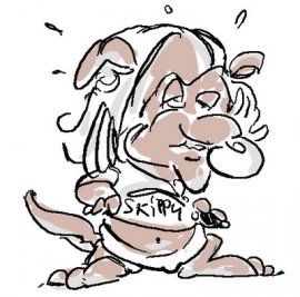 Une femelle Kangourou affirme avoir eu un mâle avec notre Fondateur bien aimé