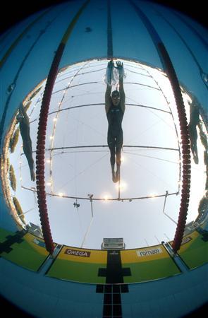Les combinaisons de natation championnes du monde 