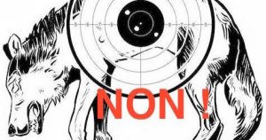 Pétition : Ségolène Royale : Sauvez les Loups en acceptant de prendre les mesures nécessaires en urgence