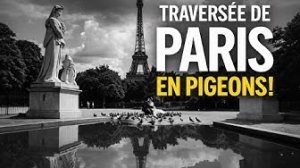 400 000 VUES SUR YOUTUBE : LES PIGEONS DE PARIS PRENNENT LEUR ENVOL