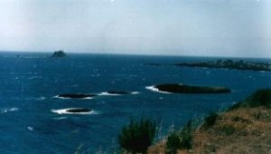 Un été à Boulimat