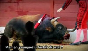 Censure pour les anticorridas !