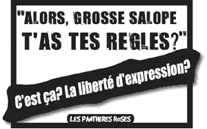 Toutes des salopes sauf Anne-Marie Comparini !!