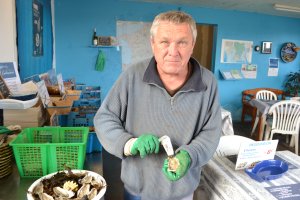 Un plateau de fruits de mer chez Cochennec