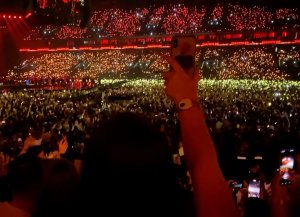 Concerts de Stars hors de prix, les fans sont-ils devenus des vaches à lait ?