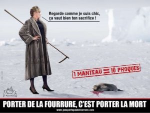 Fourrure : une campagne qui fait du bruit !