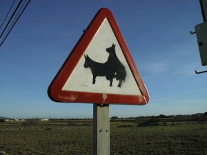 "Contaminations" dans l'édition 