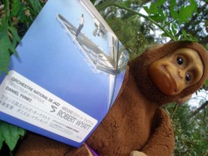 So bath : "Around Robert Wyatt" !