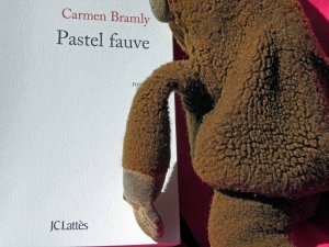 Bonjour tristesse, les clichés d'une pauvre petite fille riche !