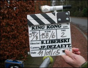 Stefan Liberski tourne King Kong Paradise.