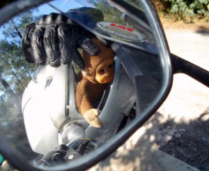 Appel aux motards en colère à fêter le retrait de la procédure VE 