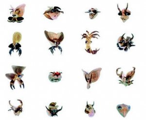 Interview : Anne Esperet