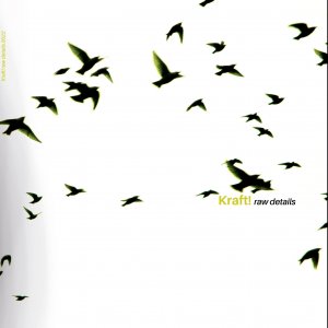 KRAFT, L'album Rock expérimental / Electro