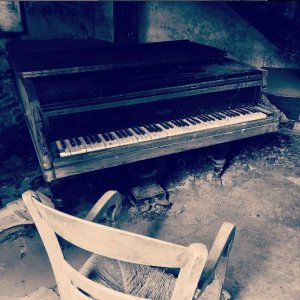 J'aurais voulu ma dernière chanson 