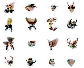 Interview : Anne Esperet