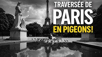 400 000 VUES SUR YOUTUBE : LES PIGEONS DE PARIS PRENNENT LEUR ENVOL