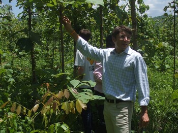 Commerce éthique à Bangkok