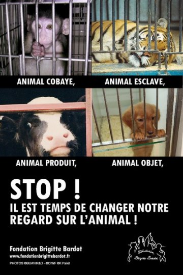 Pour la 1 ère fois, la Fondation Brigitte Bardot investit le petit écran 