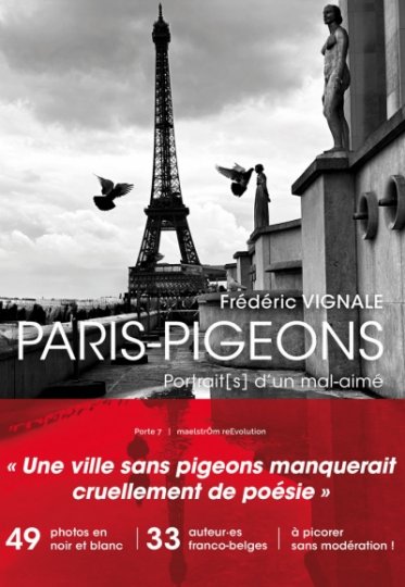 250 000 vues en six semaines pour le film Paris-pigeons sur Youtube