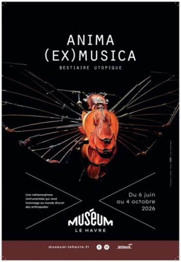 Des insectes en musique Au muséum d'histoire naturelle du Havre, des insectes géants prennent vie à partir d'instruments de musique recyclés Exposition « Anima (Ex) Musica » du 6 juin au 4 octobre 2026