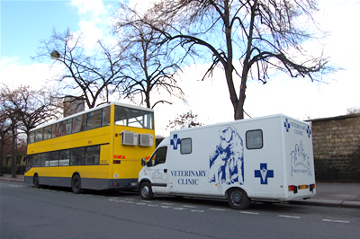 La « clinique mobile » de la Fondation Brigitte Bardot au service des sans abris et de leurs animaux