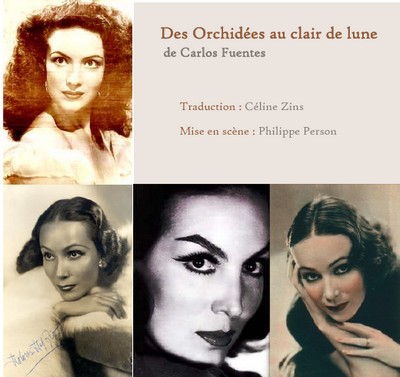 Lecture publique : "Des Orchidées au Clair de Lune"