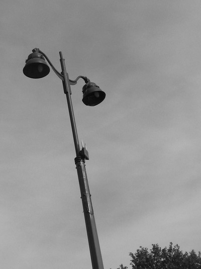 L'étrange destin de Monsieur T. - Nouvelle