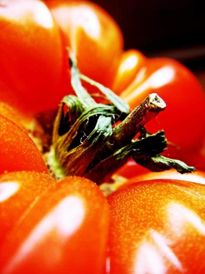 Petite anthropologie des Injonctions alimentaires modernes