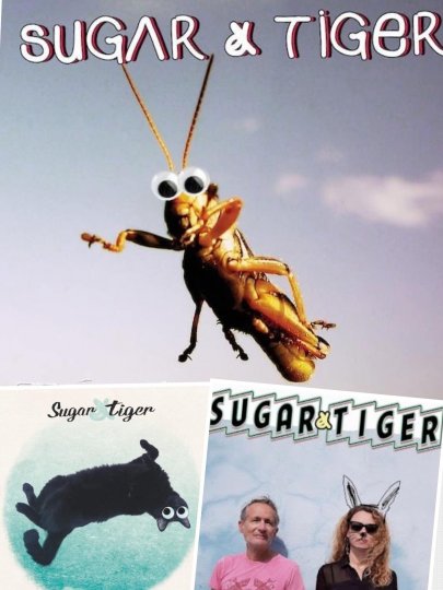 SUGAR & TIGER HAPPY 10 years !