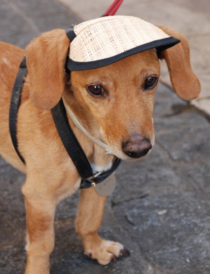 Un vêtement pour tous : JOY OF A TOY !