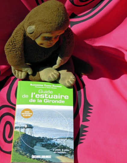 L'estuaire de la Gironde : tout un monde !