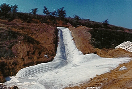 Une balle dans le derrière