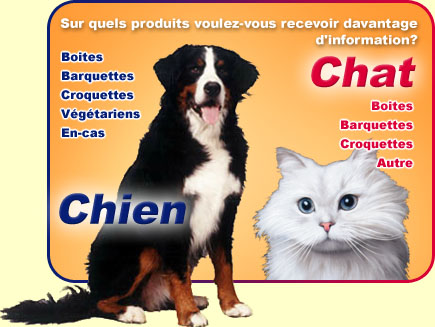 ENTRE CHIENS ET CHATS