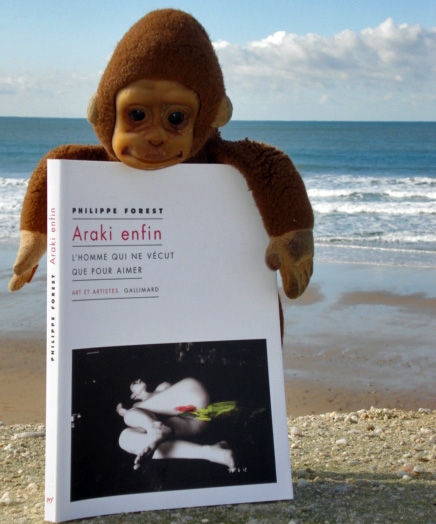 Araki, le voyage sentimental sous l'optique obscène du mâle