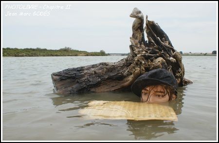 SAFARI-PHOTOS AU PAYS DU LIVRE,sur les traces de Jean-Marc Godès