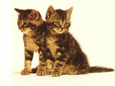 incredible but true !!!!