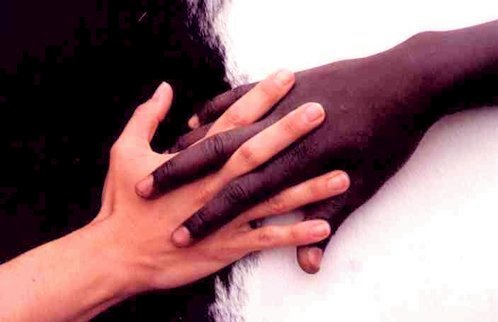 Le sondage de la CNCDH publié le 21 mars 2007 démontre que la « question noire » n'est qu'une escroquerie .