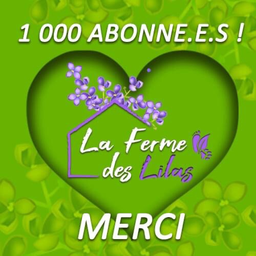 Association La ferme des lilas
