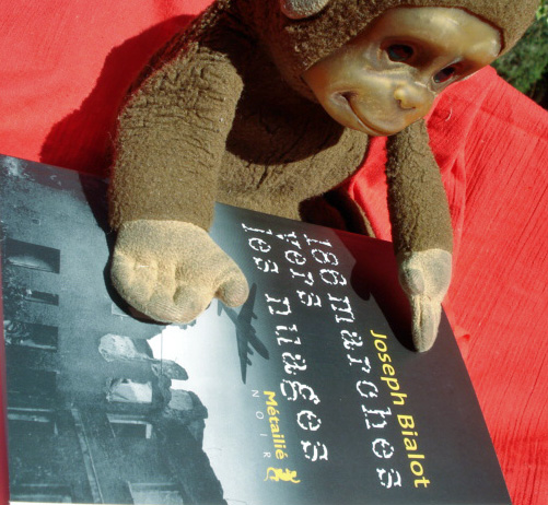 Toujours plus haut dans l'horreur !